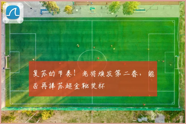 复苏的节奏！老将焕发第二春，能否再捧苏超金靴奖杯
